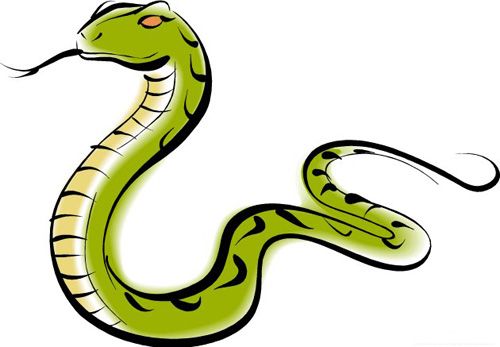 蛇蛇蛇 2021年运势,穿2种颜色衣服财运最旺 12月31日起转运