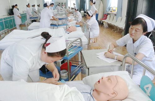高级实践护士在临床工作的作用张艳茹,解放军306医院,护理部随着护理学科的边界向纵深扩展,护