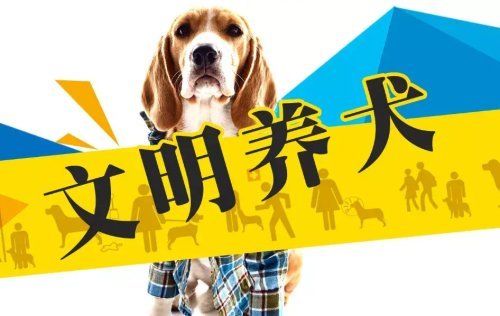 常德文明行为 城市养犬 两法规 进入 一审