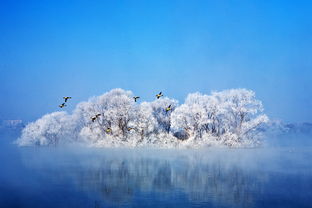 雪落千年，故事流传，古代雪的故事有哪些