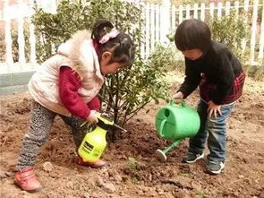 植树节美篇幼儿园，幼儿园植树节美篇内容