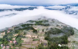 重庆万州白土镇天气预报