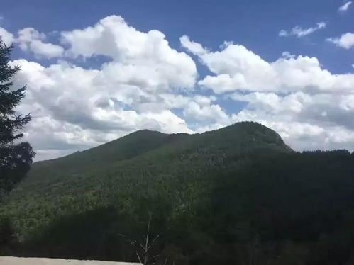 谁说山西都是大山黄土,我们也有草原