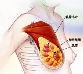 乳腺增生有什么症状