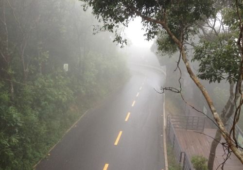 蒙蒙细雨