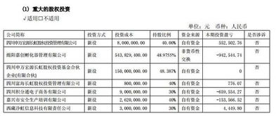 谁知道长虹一共有多少资产