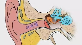 右耳朵发热吉凶预兆