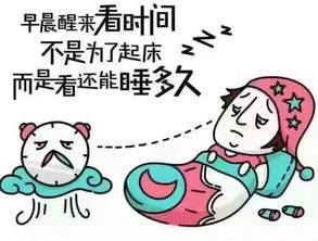 睡眠质量不好 可能是你选择的 床伴 不够给力