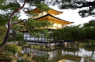 非常时期 到日本 三 日本京都 金阁寺专辑 lzqttt 