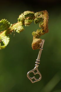 植物保护学专硕，未来农业发展的关键力量，植物保护学专硕不好调剂吗