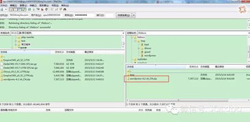 nmap使用求助(怎样将nmap安装进入虚拟主机的简单介绍)