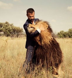 非洲动物园管理员与狮子踢足球 