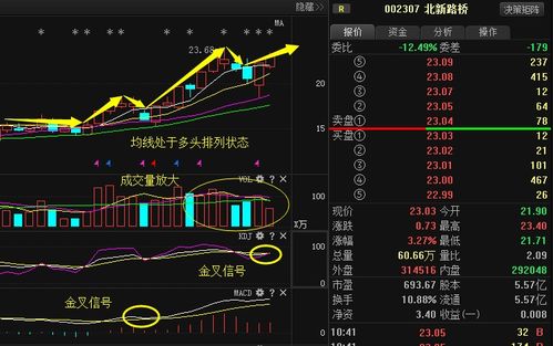 谁能告诉我北新路桥股票的技术走势分析。。。急！