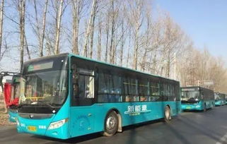 西宁新能源公交车1月6日上线运营 米粒分享网 Mi6fx Com