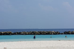 马尔代夫月桂岛攻略马尔代夫哪个岛最好（中国小马尔代夫月坨岛）
