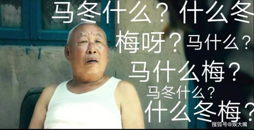 该 沈腾成中国影史票房第一的演员,网友 夏洛放现在上映50亿打底