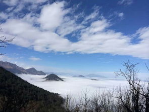 茶店子免费停车场,西岭雪山好停车吗