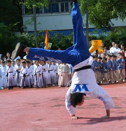 银幼 武林大会 传中华经典 圆武术之梦