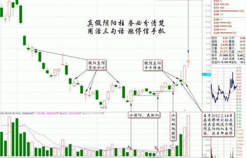 我是一个对股票完全不懂的人，现在想炒股，请问它的一个流程是什么啊！怎么做，我就可以炒了。